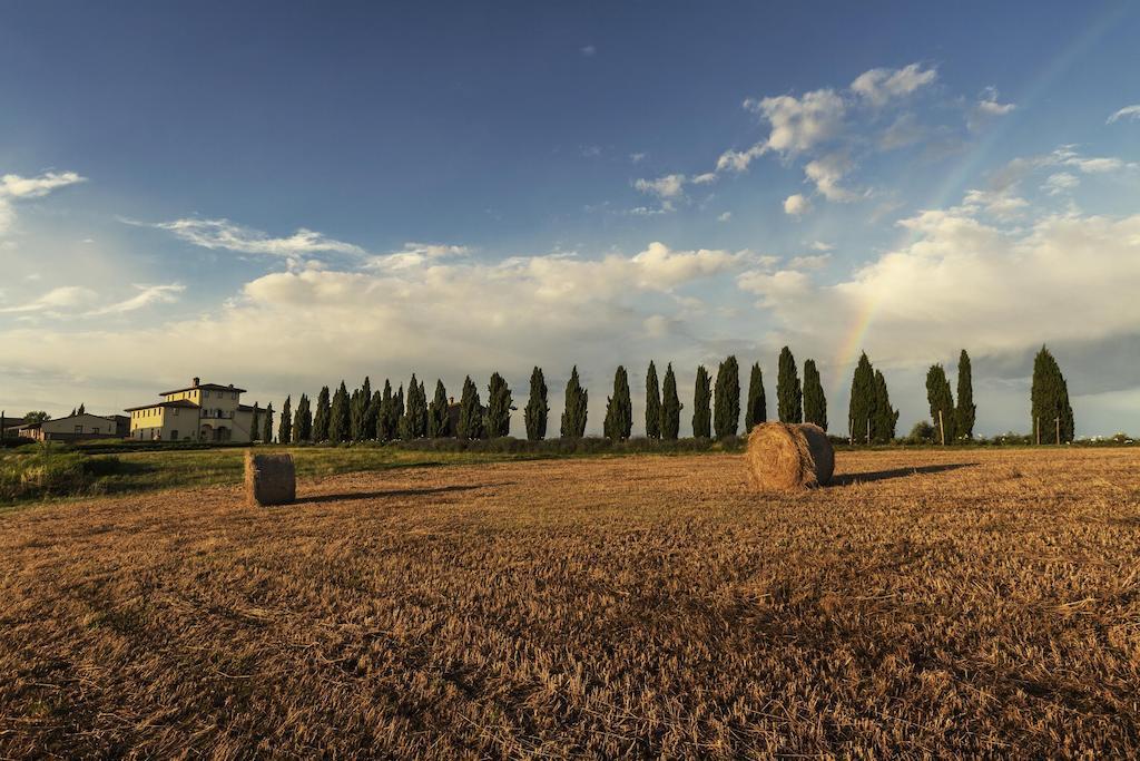 Casale Podernovo Terricciola المظهر الخارجي الصورة